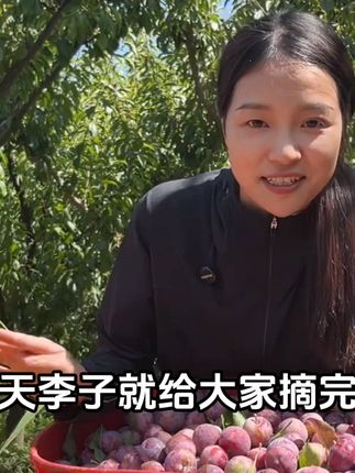 汶川不仅有脆红李,还有野山菌。 就是不晓得这个菌子啷个吃? #我的乡村生活 #捡菌子 #新农人计划2025