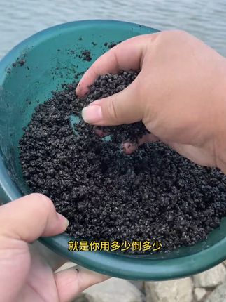 野钩打窝非常好用的黑米窝料,小惠大师盘大爷的秘密武器#饵料窝料 #酒米窝料 #酒米打窝 #钓鱼 #鱼饵