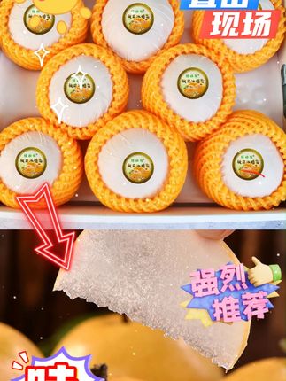 【顺丰发货】山东烟台正宗秋月梨脆甜多汁净重5/6/8/9斤坏果包赔