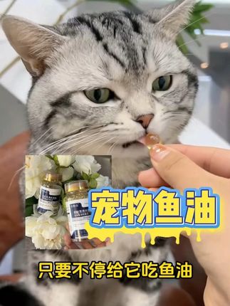 给狗狗坚持吃鱼油,让你的宠物告别掉毛烦恼! #新手养猫 #宠物鱼油 #狗狗鱼油 #猫咪 #狗狗