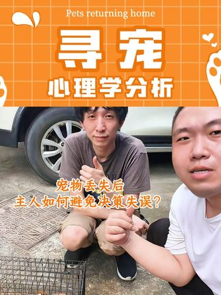 心理学分析:宠物丢失后,主人如何避免决策失误? #找猫团队 #专业寻宠 #宠物侦探 #宠物丢失怎么找 #找猫找狗