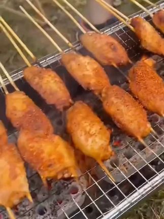#折叠烧烤炉 #烧烤炉 出门露营这60厘米的烧烤炉够一家人吃了!而且收纳特别方便! #户外烧烤 #撸串儿约起来 #吃烧烤喝啤酒