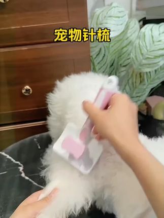 宠物梳子大号粘珠梳子猫梳毛祛毛狗拉毛开结梳超萌好物去浮毛针梳#宠物梳子 #粘珠梳子 #猫梳毛 #狗祛毛 #宠物用品