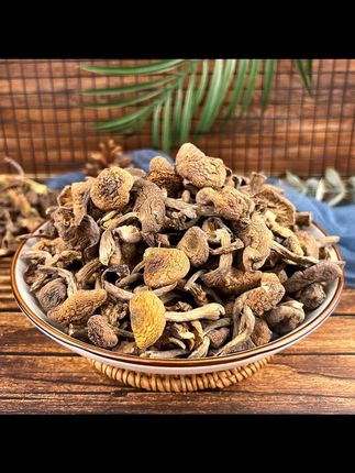 长白山榛蘑干货 250g 去根 1/2 袋 #抖音美好丰收节 #无限回购的宝藏单品 #男士神仙单品