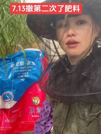 这个是掰玉米的防护帽,戴上后可以随意在玉米地里穿梭,防刮伤不眯眼,遮阳又防虫
