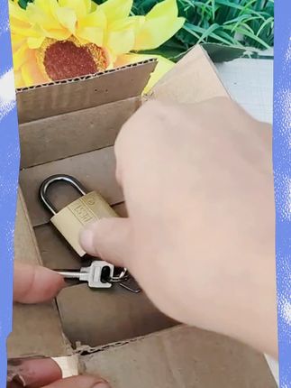 仿铜原子挂锁月牙钥匙锁防水防锈锁子通用家用小锁头防盗防撬锁具