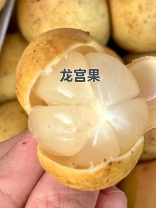 空运新鲜龙宫果椰色果当季稀有热带水果酸甜嫩奇葩水果#龙宫果 #热带水果 #奇葩水果 #进口水果 #水果