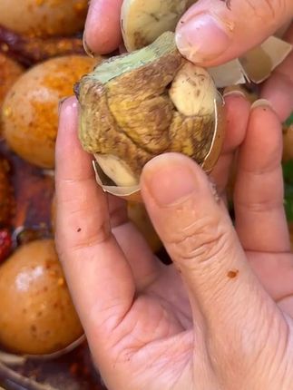 鲜美无比 #活珠子毛蛋#活珠子#活珠子的营养价值