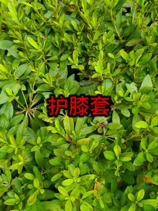 #门窗密封 #防水填充 #裂缝修补