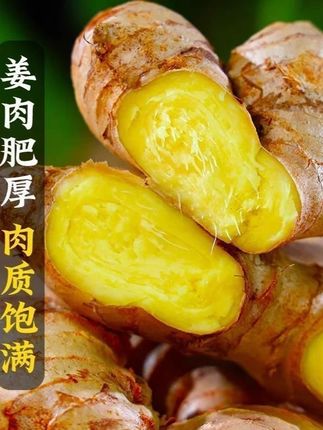 罗姜缘云南罗平小黄姜 超便宜超划算 口感特别好 妈呀太香了 罗姜缘云南罗平小黄姜生姜辛辣鲜香1斤/9斤高山种植#高山种植 #小黄姜 #生姜 #辛辣鲜香 #姜还是老的辣
