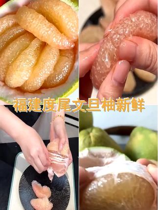 纳学 顺丰包邮 福建度尾文旦柚现摘新鲜多汁香甜可口! #秋天的第一个柚子 #柚子的正确剥法 #剥柚子 #柚子为什么要套袋 #超甜