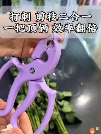 这么一个东西代替了剪刀和打刺钳两样东西,真方便#打刺钳 #花艺师剪刀 #花艺剪刀 #剪刀 #好物分享