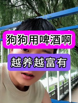狗狗用啤酒啊 越养越富有 #养狗经验分享 #养狗人 #聪明狗狗 #爱狗人士 #养狗小知识