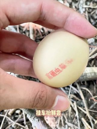 这个富硒虫草蛋我太喜欢了! 就是这款,只要不涨价,我会一直回购的#鸡蛋#富硒虫草蛋