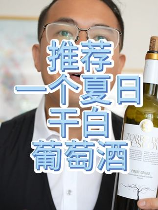 不甜哦,酸酸的 冰镇起来喝很爽脆 意大利原瓶原装进口 维琴察DOC 灰皮诺单一品种酿造 13度酒精度 #葡萄酒 #好酒推荐 #原瓶原装进口葡萄酒 #白葡萄酒 #葡萄酒推荐