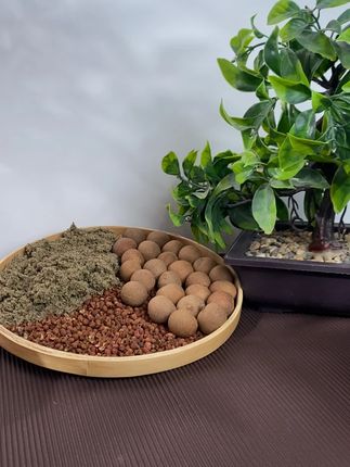 七绿肚脐贴