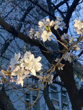 幸亏老公平时考虑的多,真到了关键时刻,多一个工具,也能多一份应对措施#看看这画面 #儿L童安全 #防范意识
