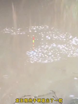 龙王恨蓝鲫青春版鱼饵料鲫鱼饵料立体动态泡泡球钓鱼用具单开通用#蓝鲫饵料   #鲫鱼饵料  #钓鱼饵料  #龙王恨  #泡泡球饵料