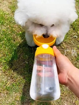大热天出门,水是必备品。狗狗底盘低离地面近,容易缺水,这个水杯质量好还便宜#狗狗水杯 #狗狗水碗 #水杯