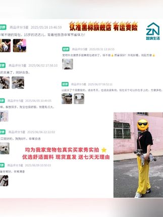 宠物外出狗狗猫咪便携手提单肩包可牵引卡通透气多功能猫包斜跨包,#宠物包 #透气设计 #可牵引 #便携外出 #猫狗通用