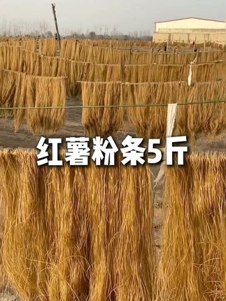 活动 红薯粉条5斤 非遗工艺不含胶传统手工晾晒 东泇河-支持试吃#红薯粉丝 #红薯粉丝粉皮