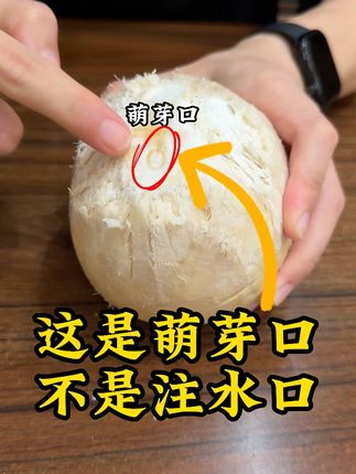 剩最后一个椰子怎么开,让我来教会你 #泰国椰皇 #椰子 #夏日必备