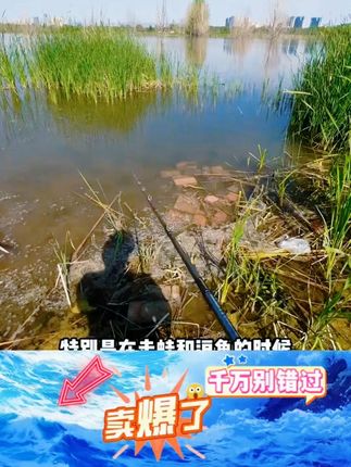 逍遥剑 雷强竿XH中雷xxh重雷枪柄杆全富士导环超轻超硬打黑雷强竿 #雷强竿 #超轻超硬 #打黑神器