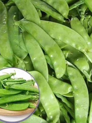 【双生双花双荚荷兰豆种子】