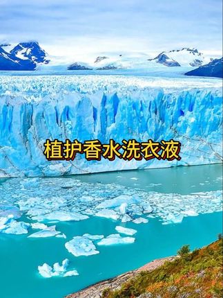 植护香水洗衣液家庭组合装7斤香氛多效深层去污去渍家用实惠装