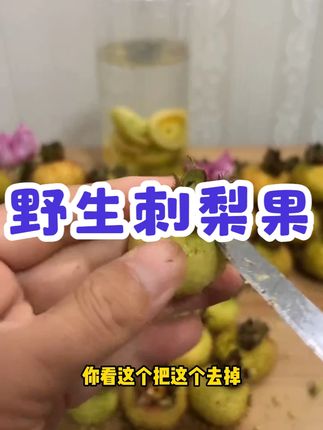贵州野生刺梨鲜果维C之王泡沫箱加冰袋包装可泡酒泡水 #好物分享 #野生刺梨鲜果 #好吃不贵经济实惠 #好吃到停不下来 #热点宝