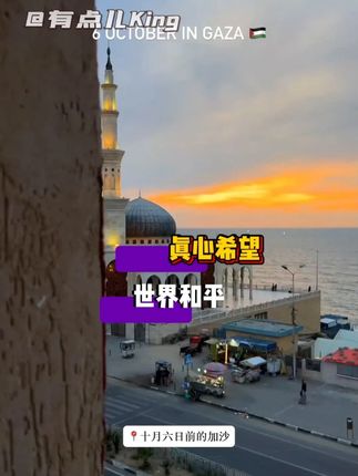 惟愿世界和平 #加沙 #以色列 #世界和平