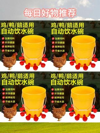 鸡鸭鹅自动饮水神器#家用好物 #喂水器 鸡鸭鹅喂水器#妙招分享