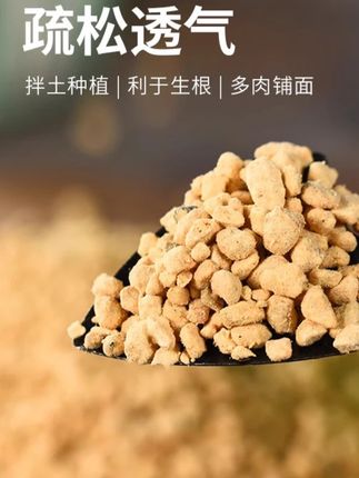 原装进口鹿沼土颗粒适用于多肉植物铺面及兰花杜鹃盆景种植#鹿沼土 #颗粒土 #盆景种植土 #多肉土 #植物土壤
