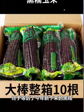 软糯拉丝的黑糯玉米,当作主食好吃又方便 #黑玉米 #软糯香甜 #主食