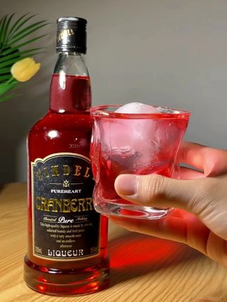 适合小女生的晚安酒! 酸酸甜甜的超级好喝!#微醺时刻 #美酒 #果酒推荐微醺酒 #利口酒 #蔓越莓