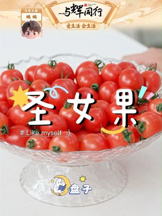 斜源小番茄新鲜现摘自然熟爆汁酸甜小番茄当季圣女果 #小番茄 #小番茄的神仙吃法 #圣女果 #圣女果采摘 #酸甜小番茄