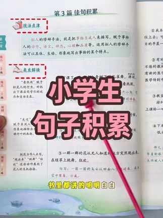 官方旗舰店小学生句子积累 #优美句子 #小学生 #同步课本 #好词好句 #作文积累
