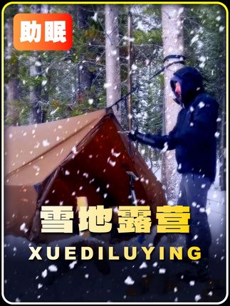谁能拒绝晚上睡不着觉时,刷上一集解压助眠的荒野生活呢#雪地露营 #荒野求生 #荒野建造 #户外 #助眠