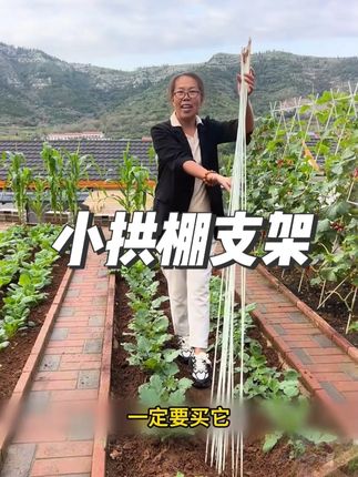新型玻璃纤维拱棚支架 #拱棚支架 #小拱棚支架 #拱棚 #拱棚搭建 #小拱棚