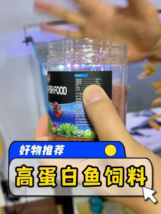 鱼儿不吃东西,食欲不振怎么办?可以试试这款仿红虫设计的鱼粮,选用优质的原料制作而成。#鱼粮 #仿红虫 #观赏鱼 #水族 #新手养鱼