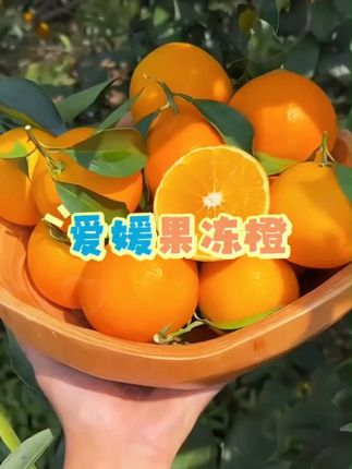 爱媛果冻橙,新鲜采摘,好吃到停不下来!#橙子 #果冻橙