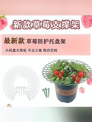 草莓花支架子托盘园艺用品家庭种植架太阳花盆栽苗防腐烂果实支撑#园艺用品 #草莓花支架 #盆栽支撑 #果实防腐 #园艺种植架