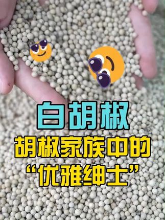 严选海南白胡椒胡椒粉颗粒现场打粉调料去腥增香炒菜调味料#白胡椒粉 #调味料 #去腥增香