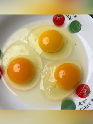 正宗的粮食土鸡蛋#土鸡蛋营养价值