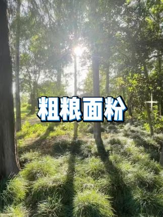 2025 纯荞麦粗粮面粉 #荞麦面粉 #粗粮面粉 #杂粮面粉