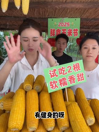 鑫禧禾东北玉米,试吃两根,送礼送健康!#玉米#优质农产品#助农#美食创业分享#创业日记