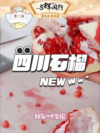 四川会理突尼斯软籽石榴精选颗粒饱满营养清甜香甜爆汁#四川会理突尼斯软籽石榴 #四川石榴 #石榴好吃 #四川会理突尼斯软籽