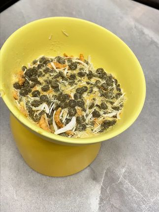 从食材到成品!蛋黄磷虾肉松,锁住每一份营养的猫咪美味#猫粮