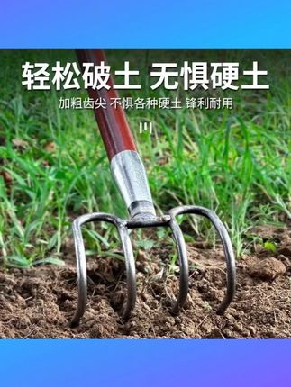 【13・9 包邮】石渣耙赶海挖贝四齿耙子锄头铁耙大弯耙搂树叶园林翻土 #13 9 包邮石渣耙 #赶海挖贝耙子 #四齿铁耙 #搂树叶园林耙 #翻土锄头