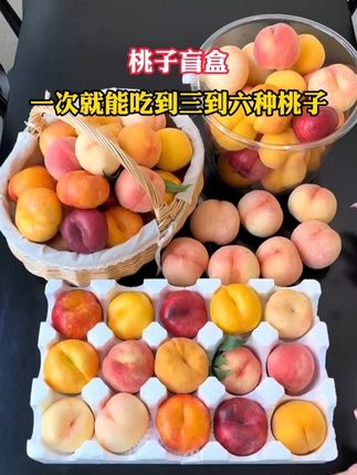 2 一次就能吃到n种桃子的桃子盲盒来啦! 一次就能吃到三到六种不同的桃子!每个都是应季比较好吃的品种!又好吃又好玩#一口爆汁的桃子太好吃了 #好客山东好品山东 #香甜多汁 #蒙阴蜜桃 #桃子盲盒